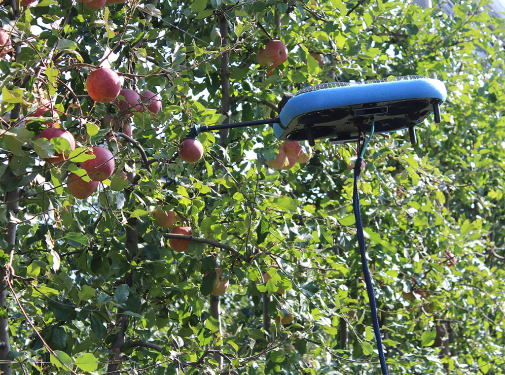 Incroyable mais vrai ! des drones font la récolte de pommes dans un verger