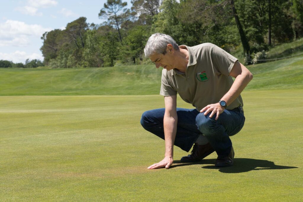 Christoque Pennequi, directeur de Racine, évalue la qualité du green du golf de Barbaroux à Brignoles