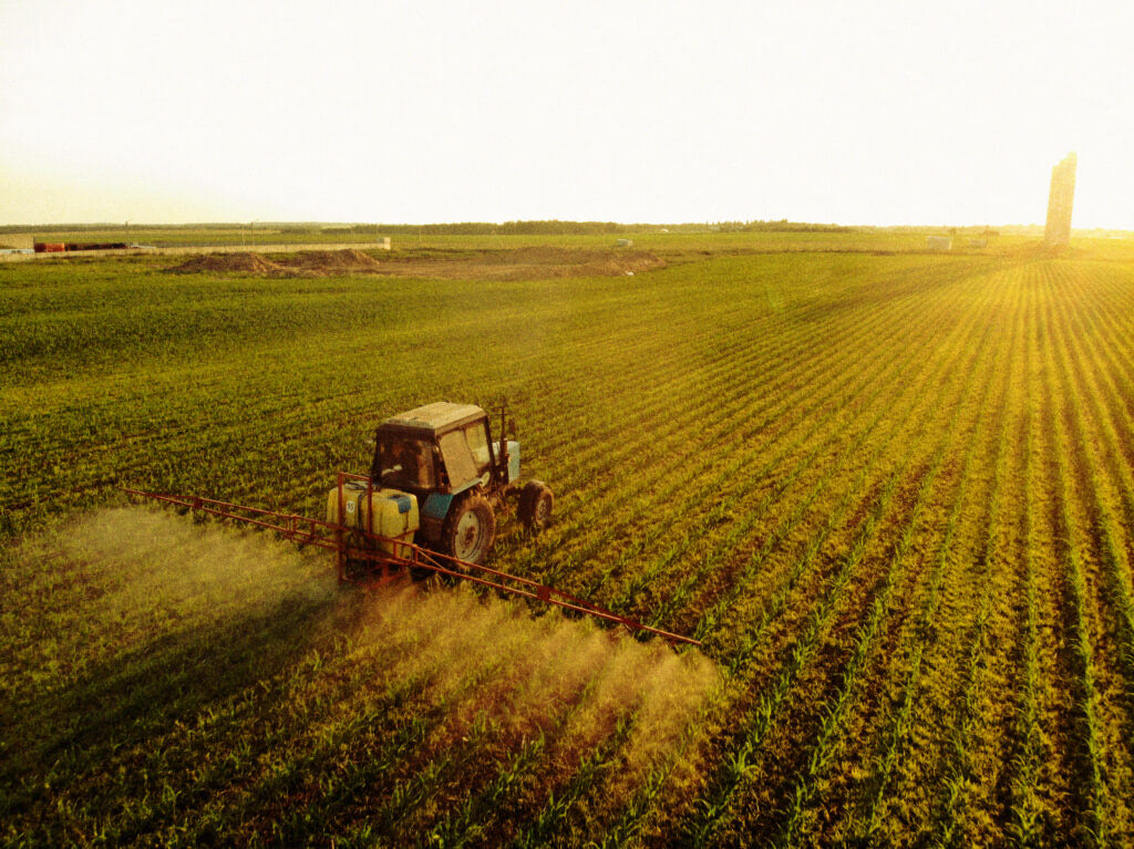 Un tracteur épand des pesticides dans un champ de maïs au lever du soleil