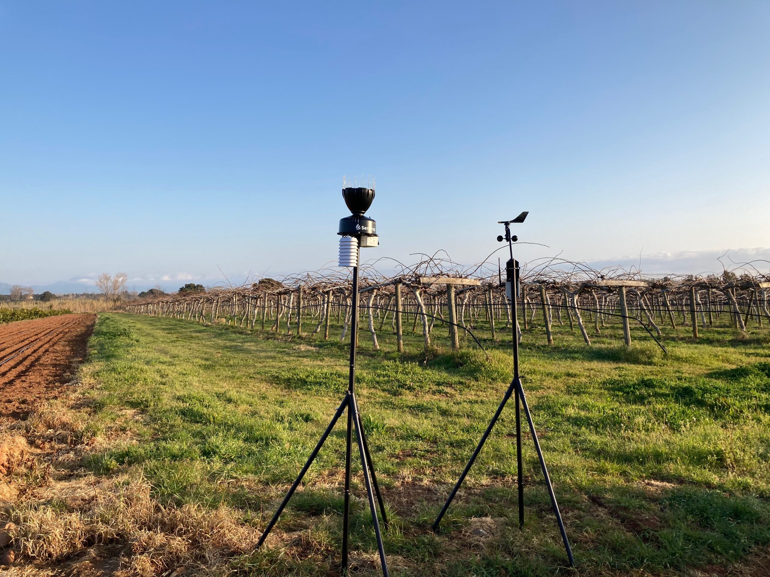 Les stations météo connectées sont des outils indispensables pour anticiper les interventions au vignoble
