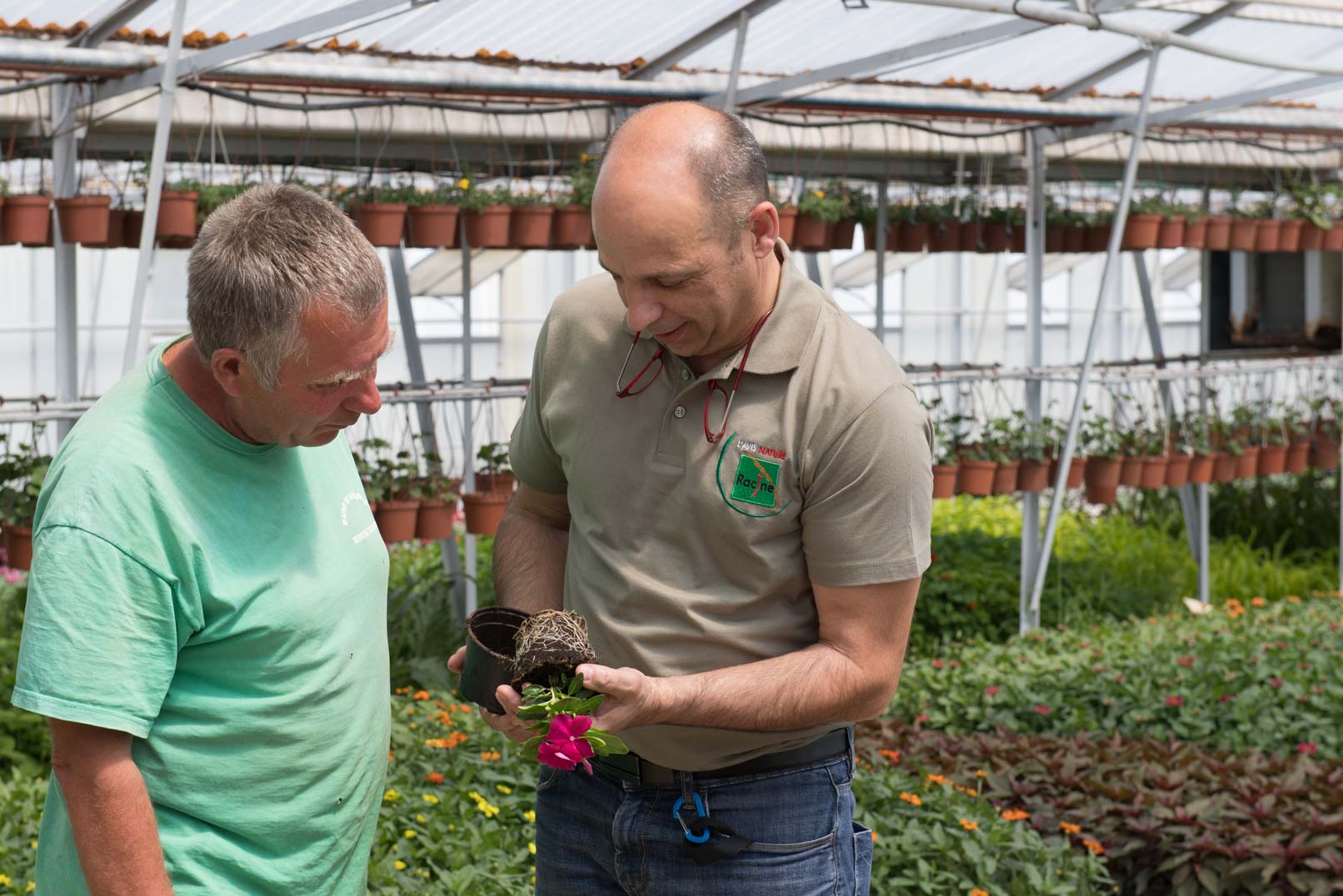 Conseiller les clients horticulteurs est l'un des missions des technico-commerciaux de Racine