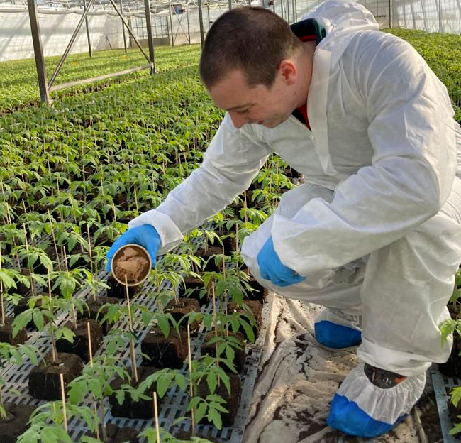 La lutte intégrée permet de contrôler les populations de parasites sans utiliser de produits insecticides