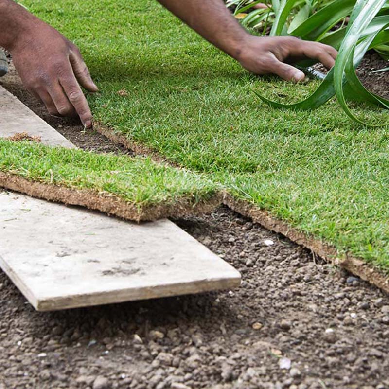 La pose de gazon en plaque présente de nombreux avantages